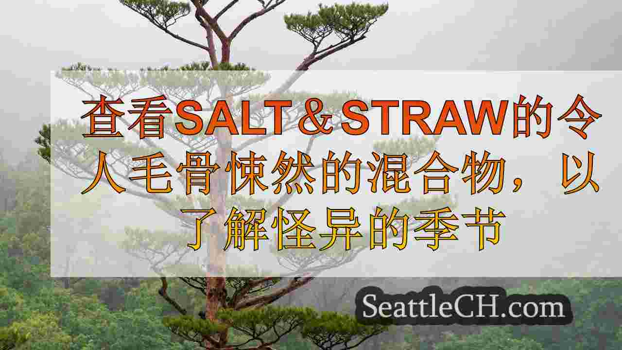 西雅图新闻 SeattleCH