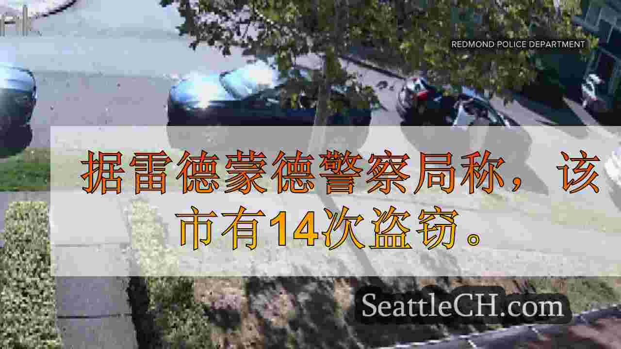 贝尔维尤（Bellevue），雷德蒙德警察（Redmond Police