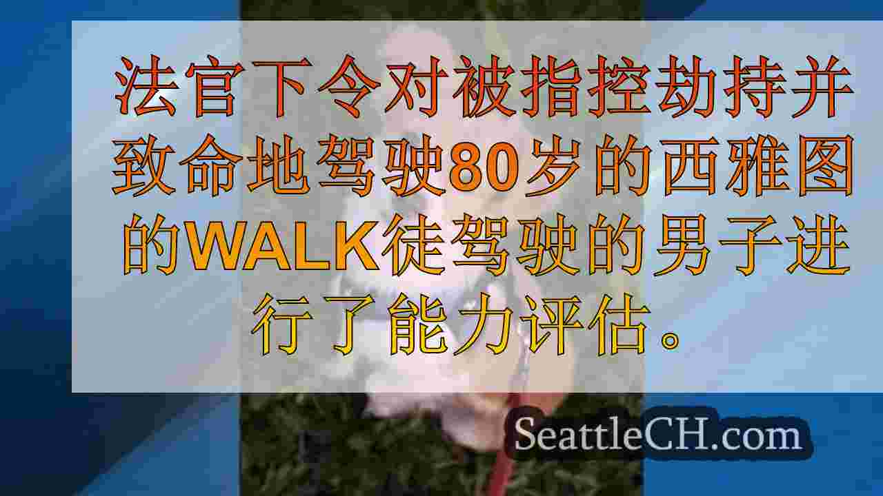 西雅图新闻 SeattleCH