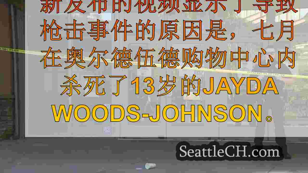 新发布的人体摄像机视频显示警察对致命的奥尔德伍德购物中心枪击事件的回应