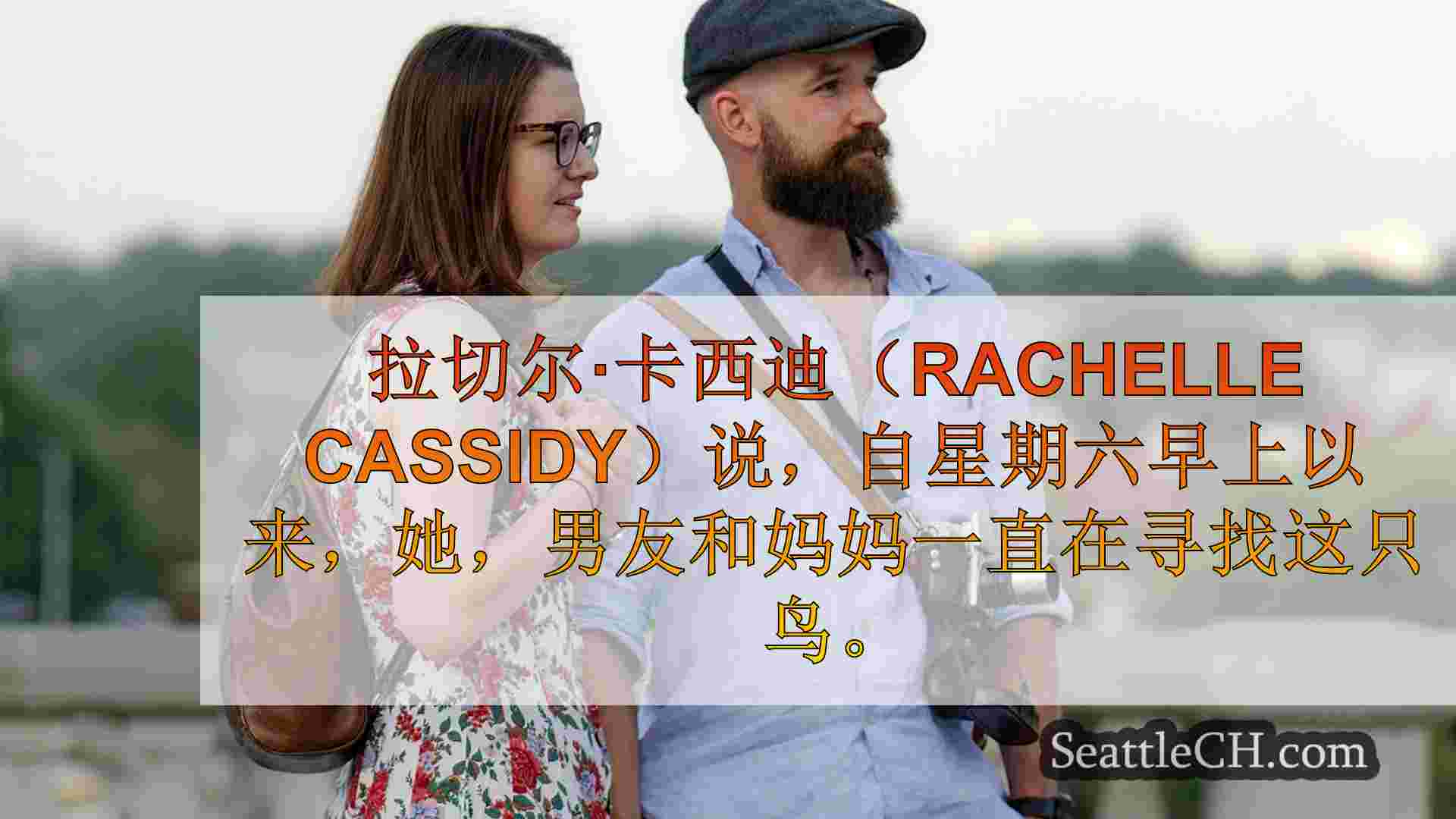 西雅图新闻 SeattleCH