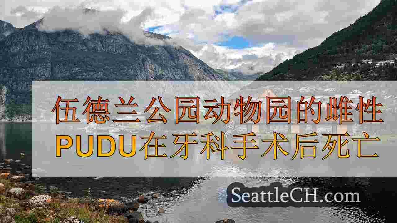 西雅图新闻 SeattleCH