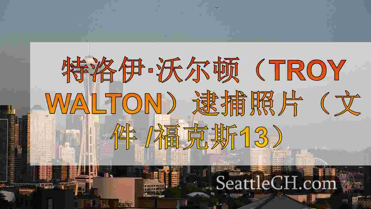在肯特的随机暴力性侵犯中被指控