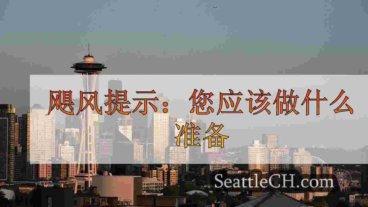西雅图新闻 SeattleCH