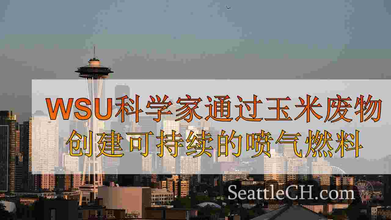 西雅图新闻 SeattleCH