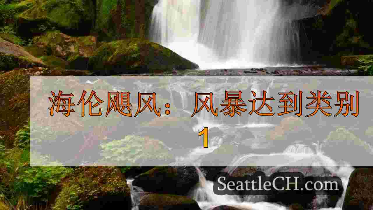 西雅图新闻 SeattleCH