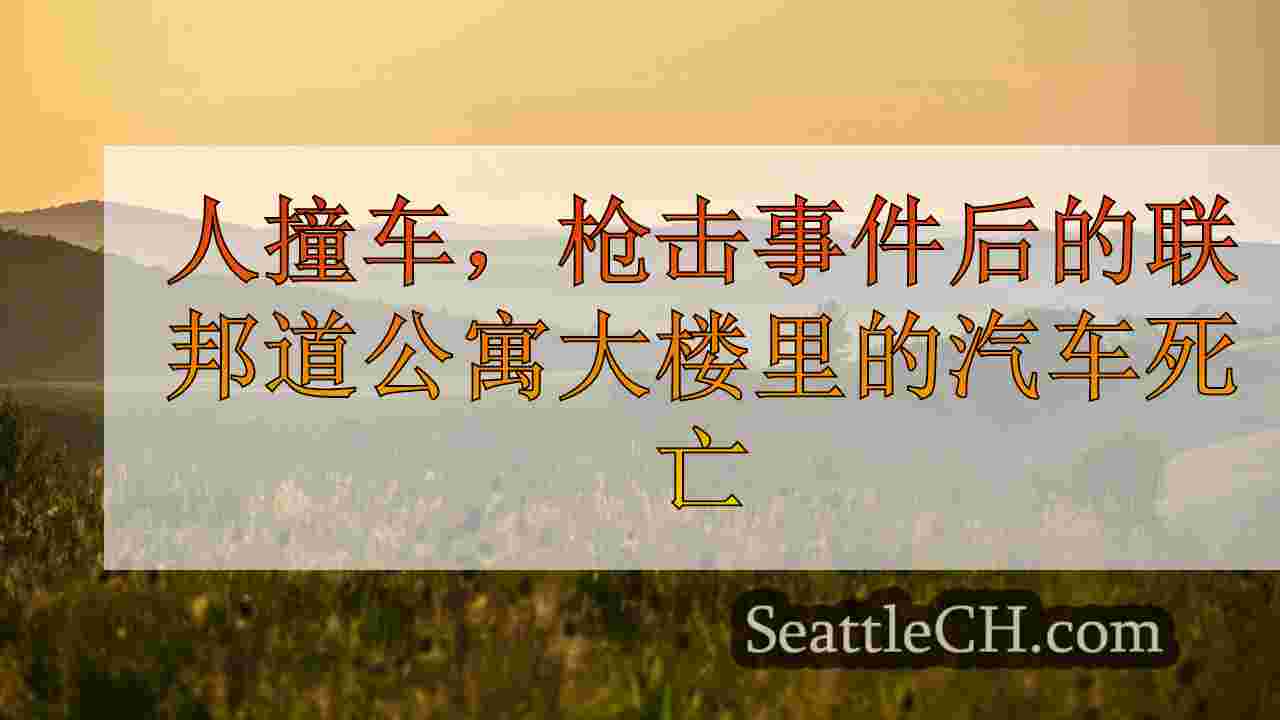 西雅图新闻 SeattleCH