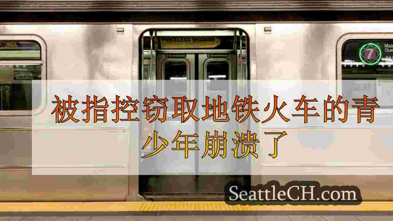 被指控窃取地铁火车的青少年崩溃了