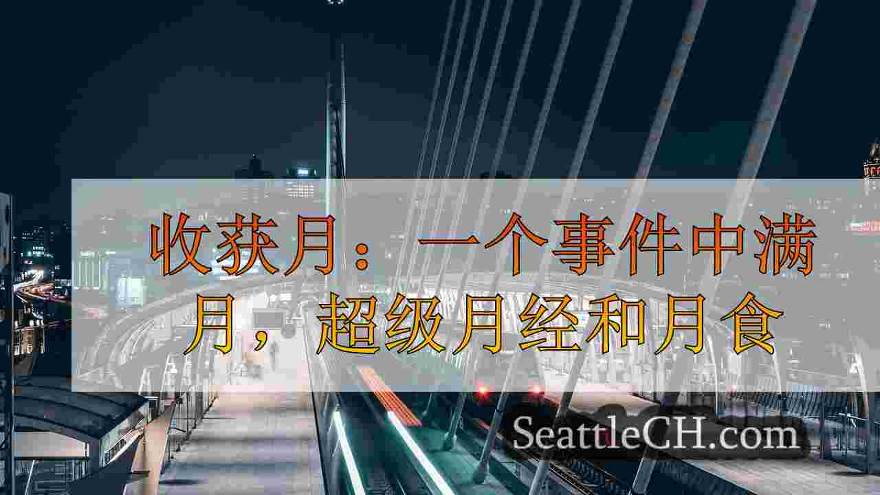 西雅图新闻 SeattleCH