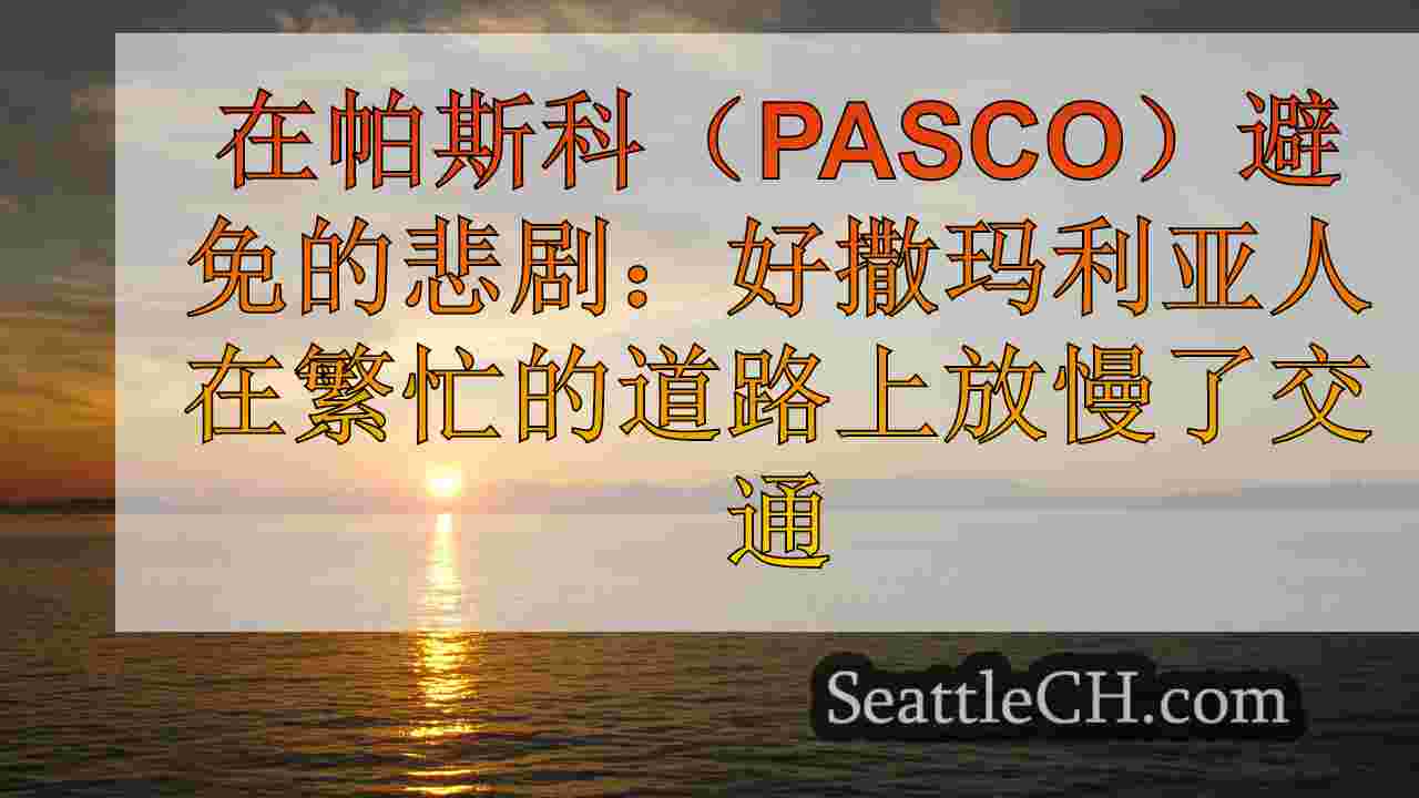 西雅图新闻 SeattleCH