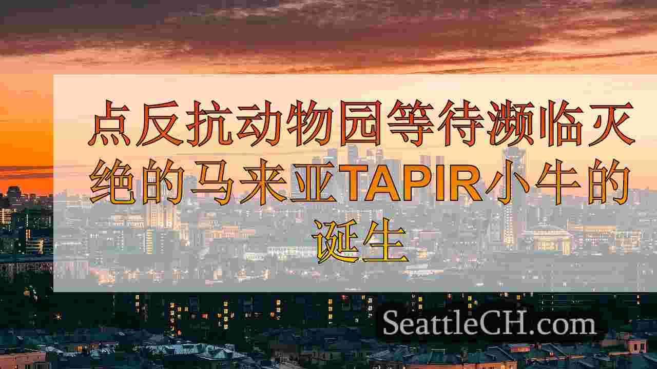 西雅图新闻 SeattleCH