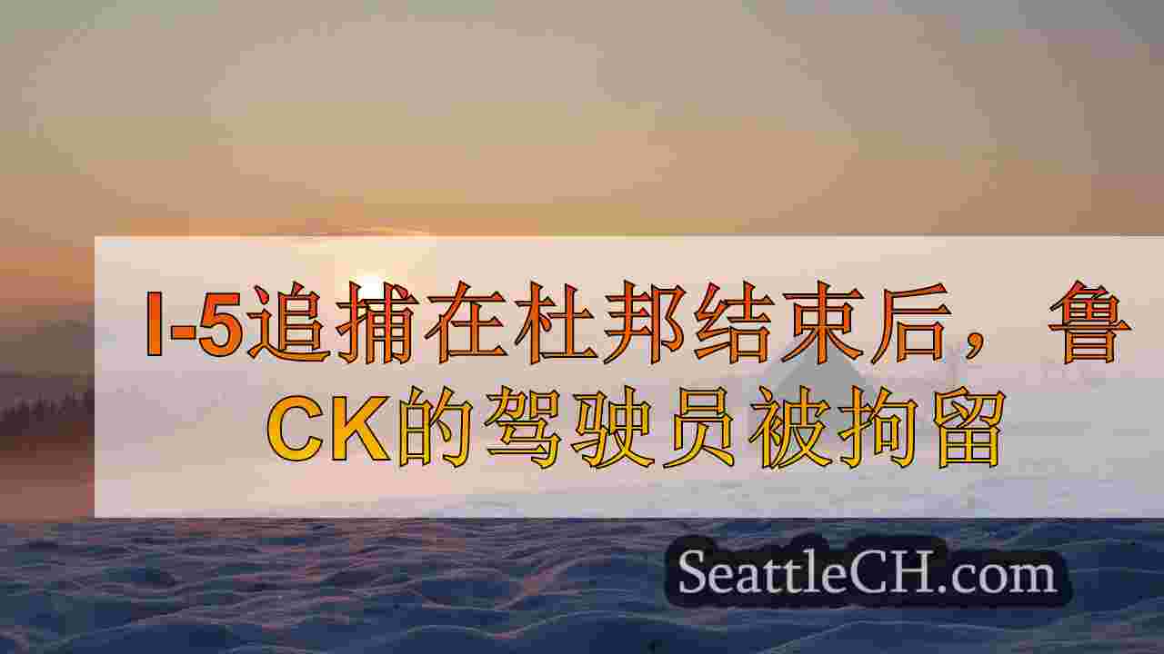 西雅图新闻 SeattleCH