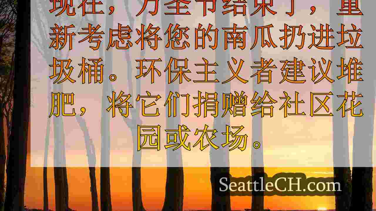 西雅图新闻 SeattleCH