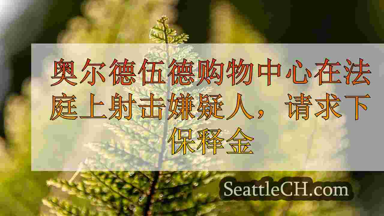 西雅图新闻 SeattleCH