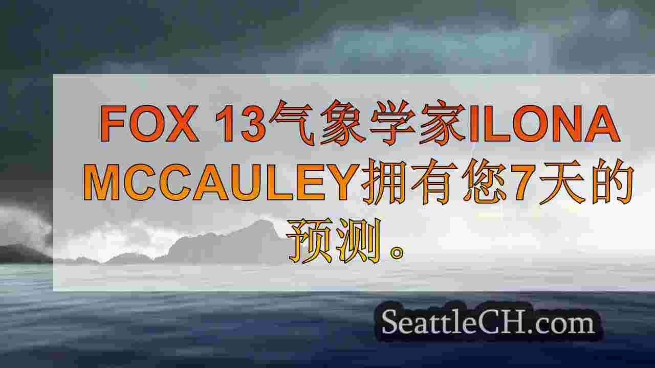 西雅图新闻 SeattleCH