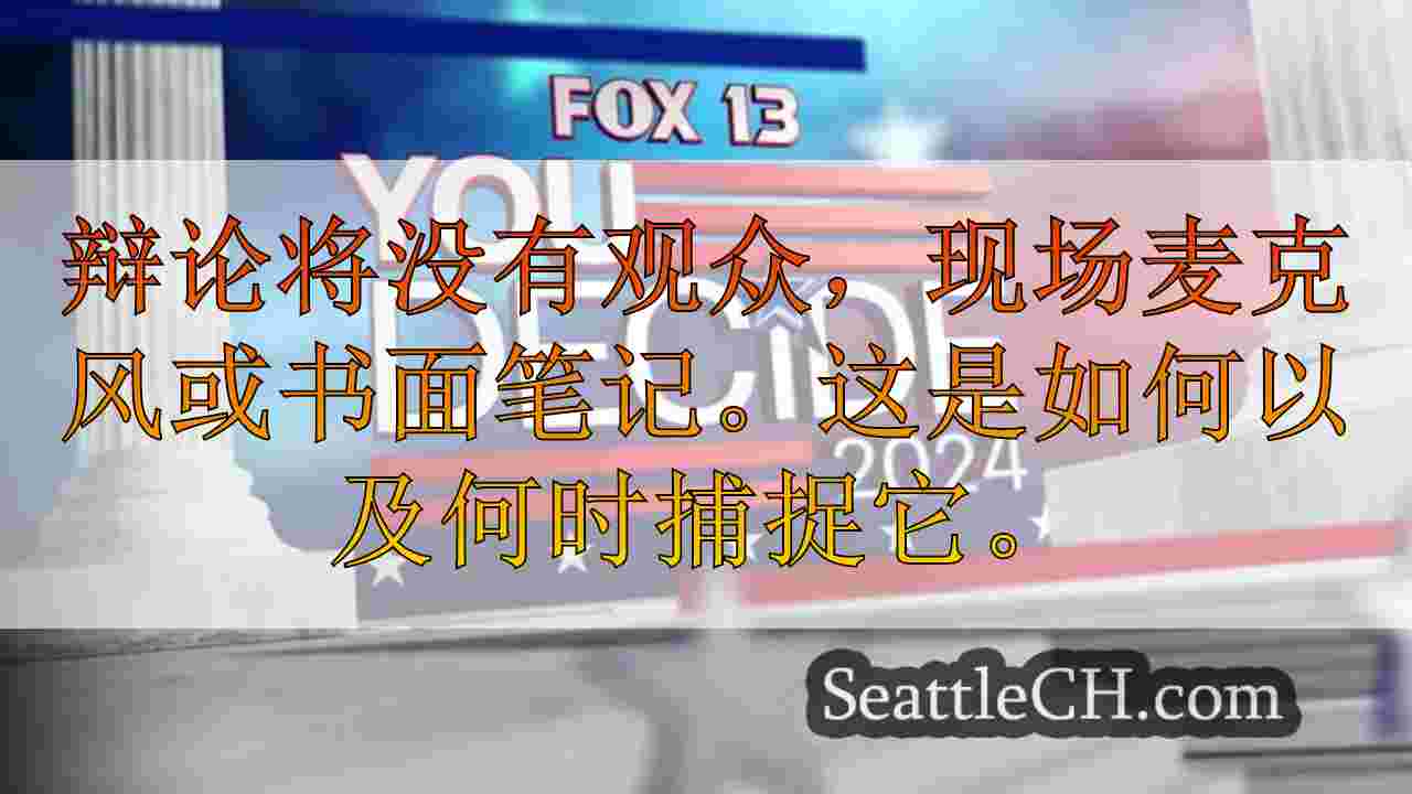 如何观看2024年西澳州州长，总检察长，更多的政治辩论