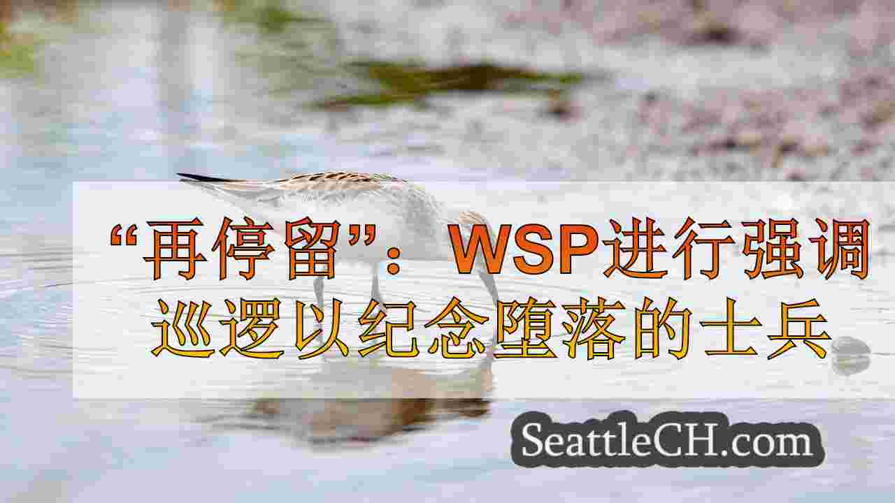 西雅图新闻 SeattleCH