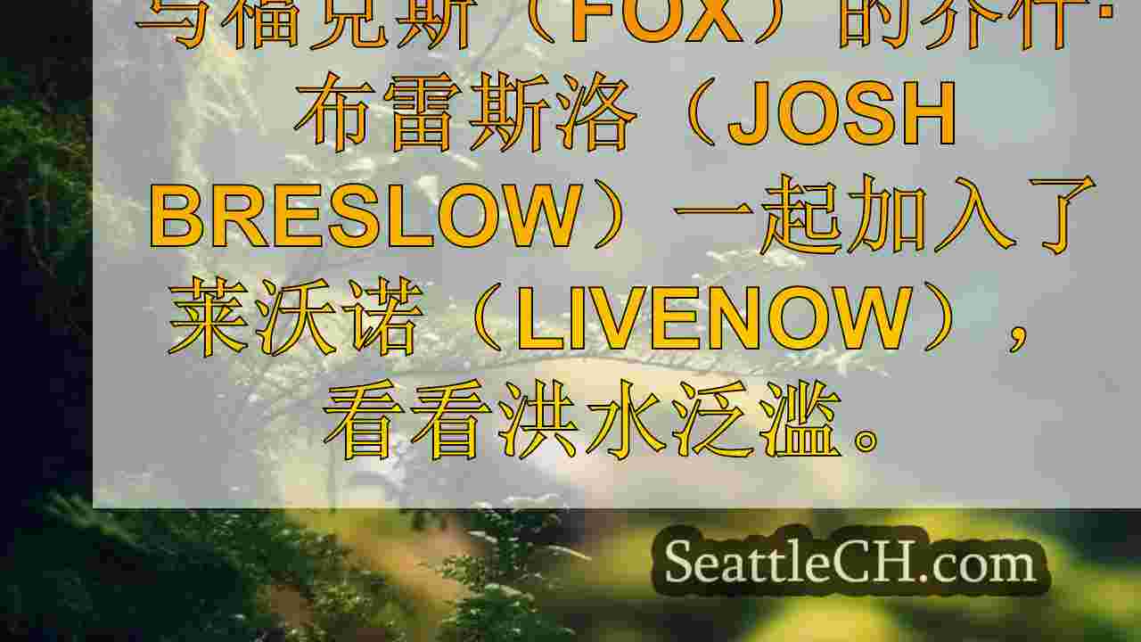 西雅图新闻 SeattleCH