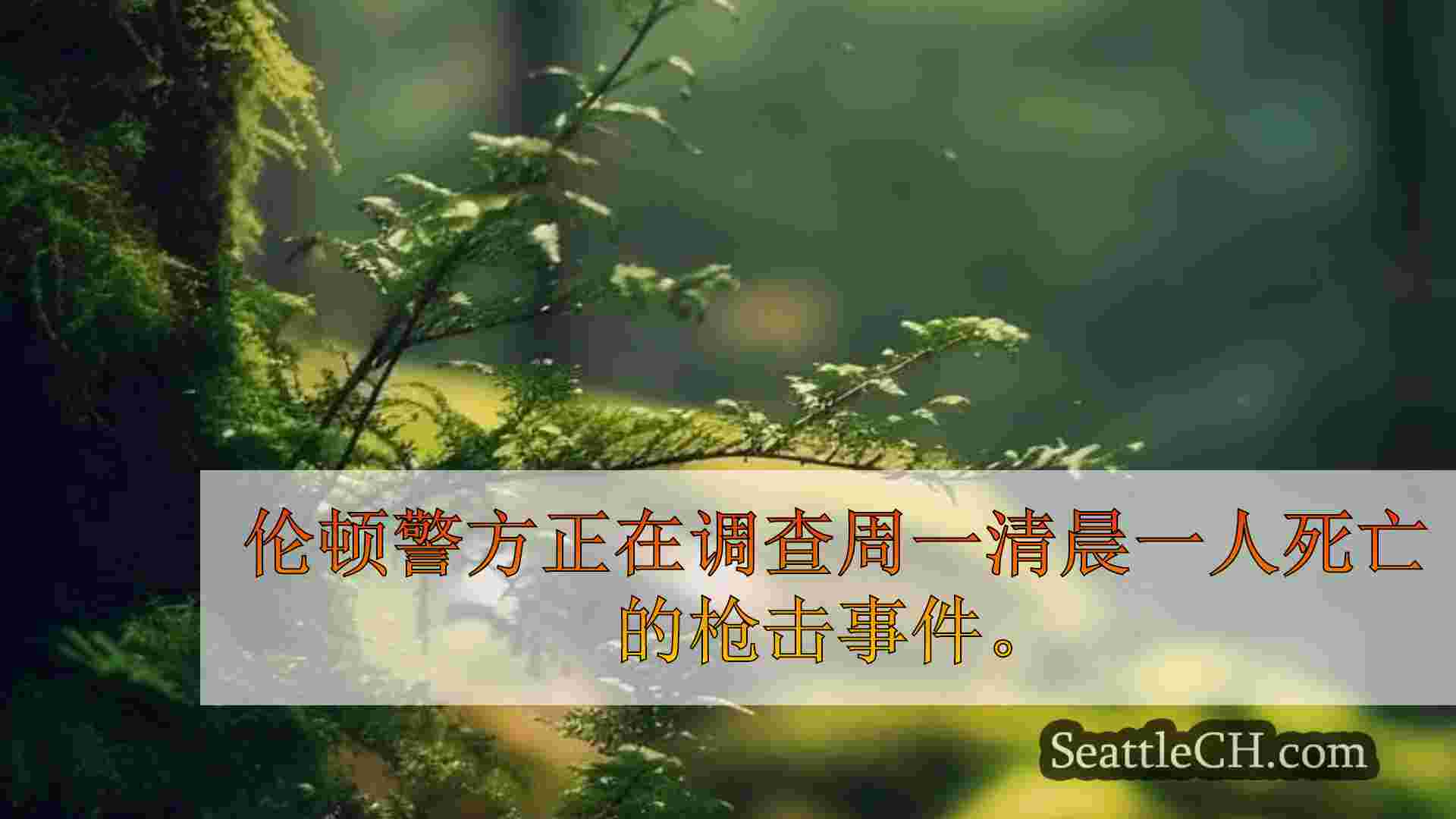 西雅图新闻 SeattleCH
