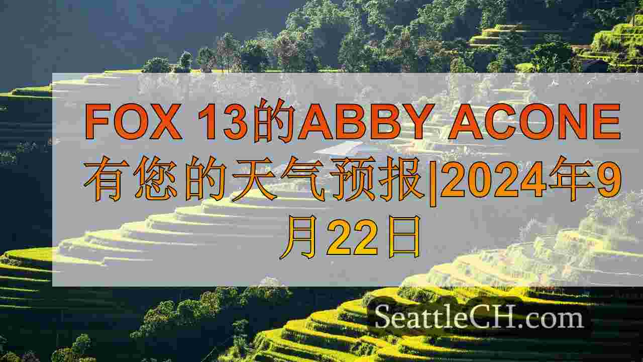 西雅图新闻 SeattleCH