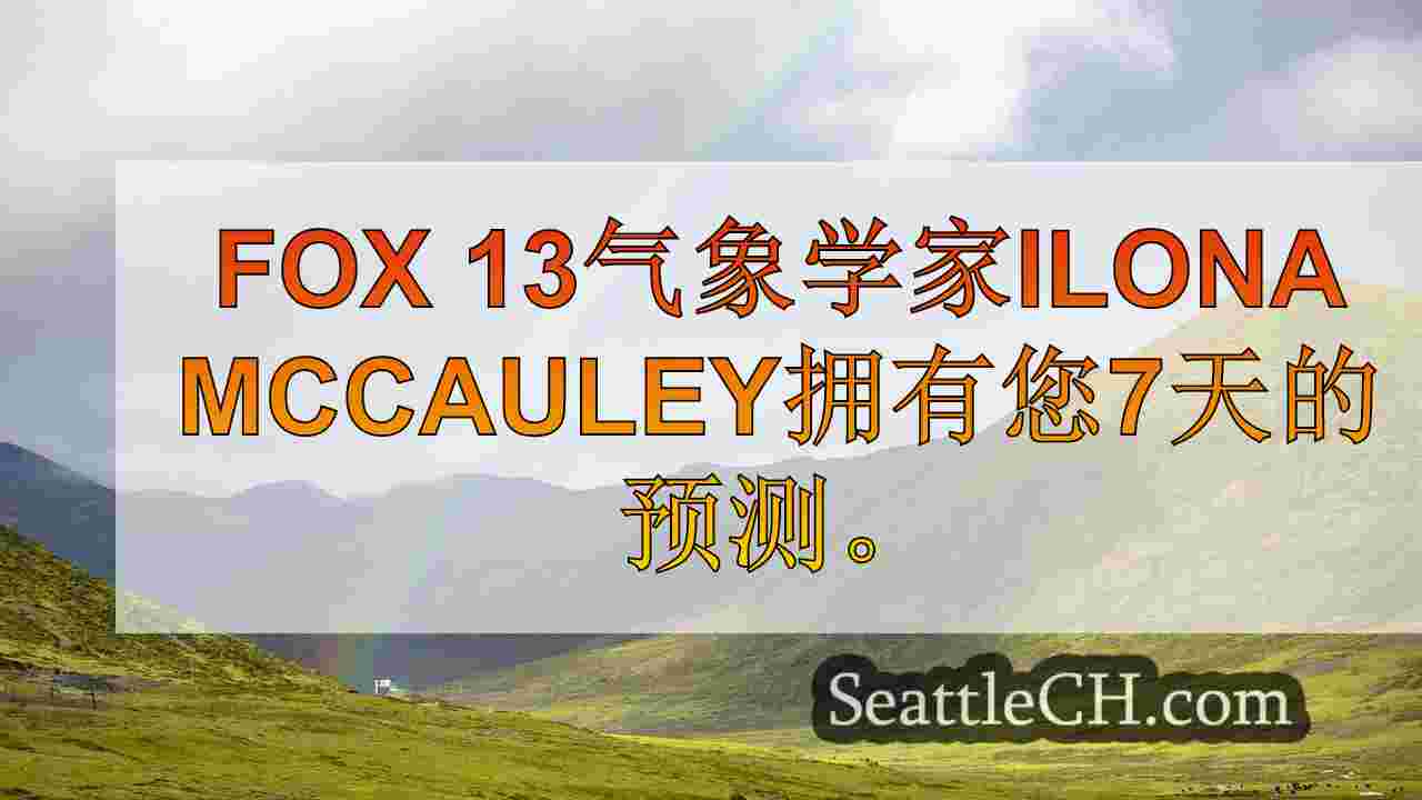 西雅图天气：淋浴星期四晚些时候返回