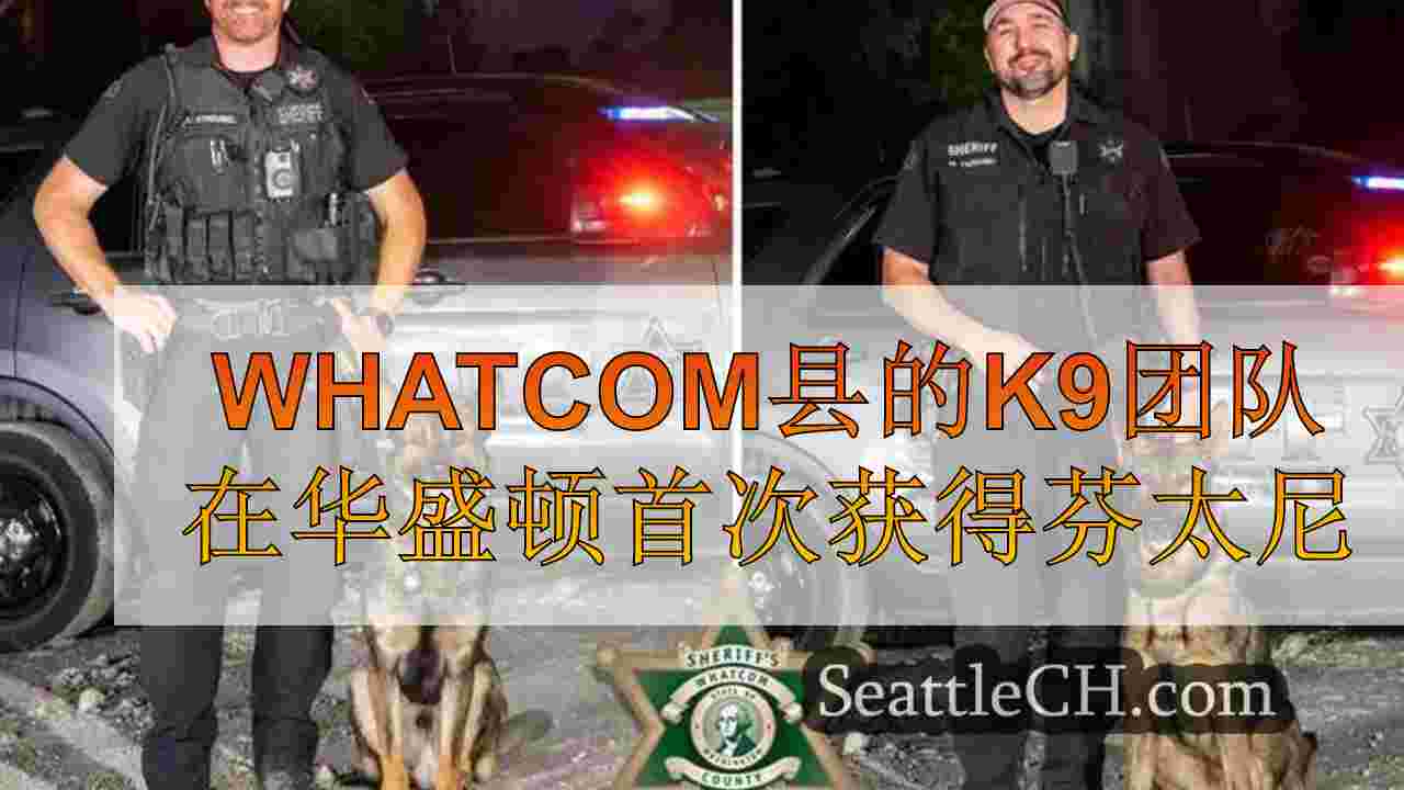 Whatcom县的K9团队在华盛顿首次获得芬太尼检测认证