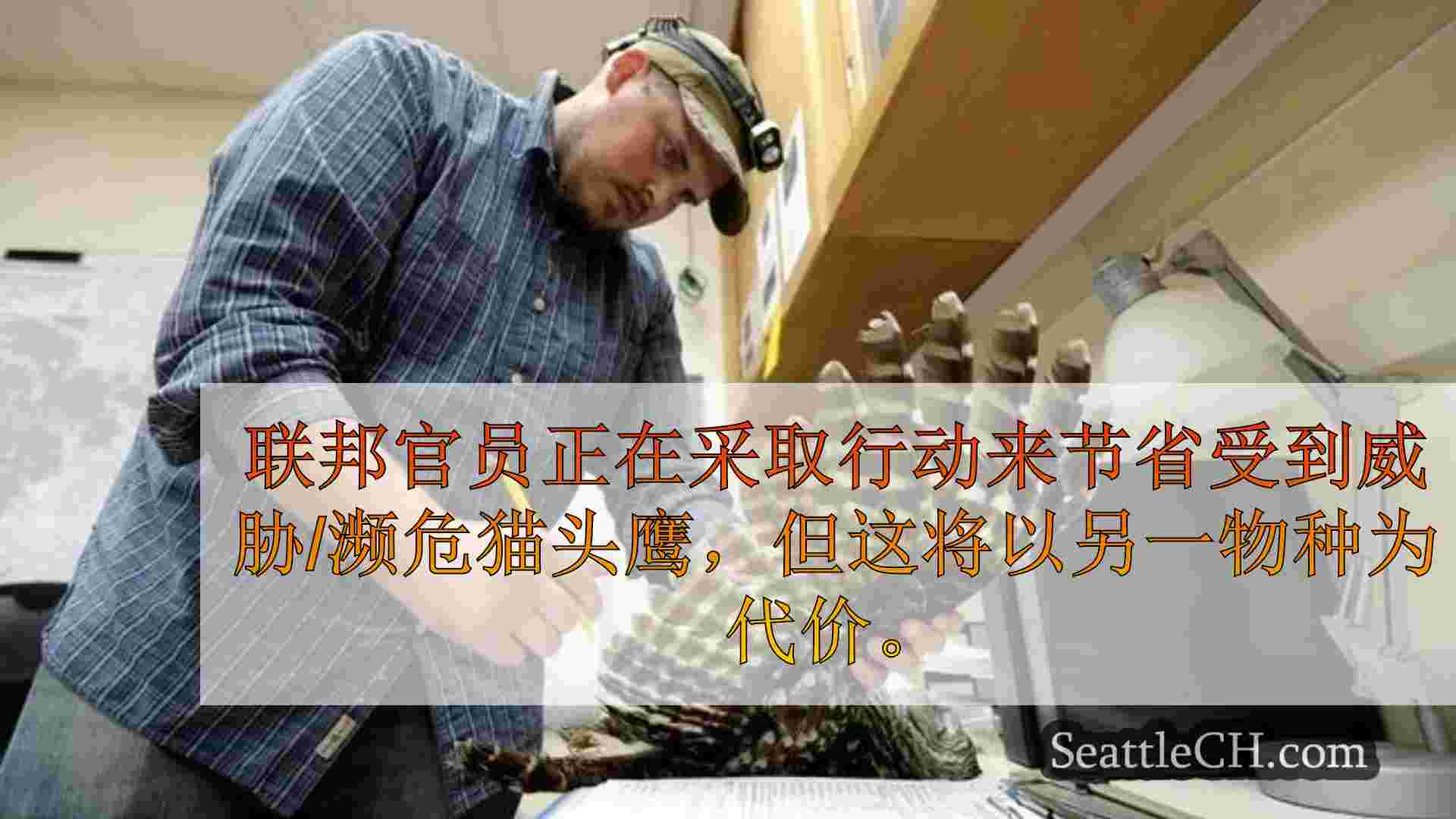 西雅图新闻 SeattleCH