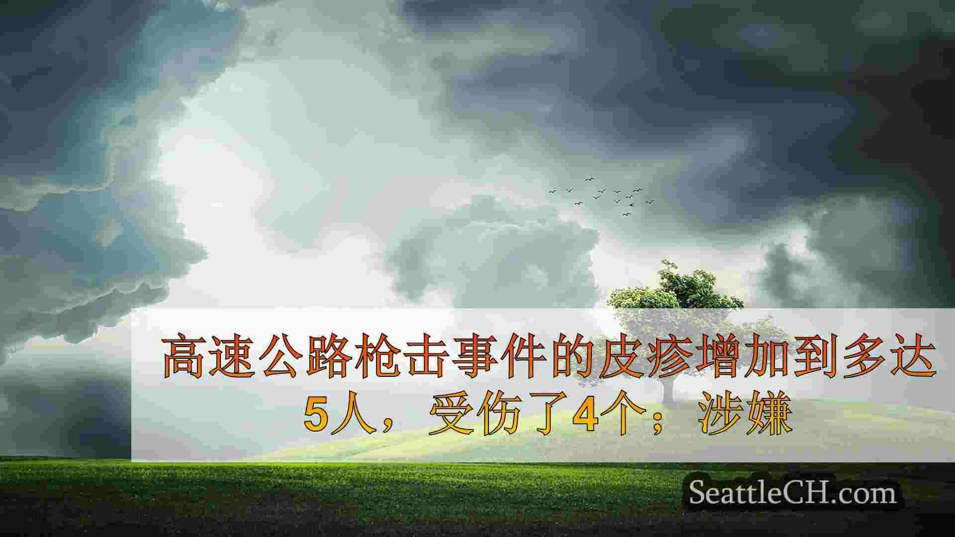 高速公路枪击事件的皮疹增加到多达5人，受伤了4个；嫌疑人被拘留