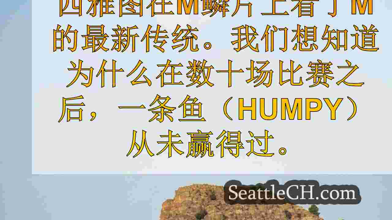 西雅图新闻 SeattleCH