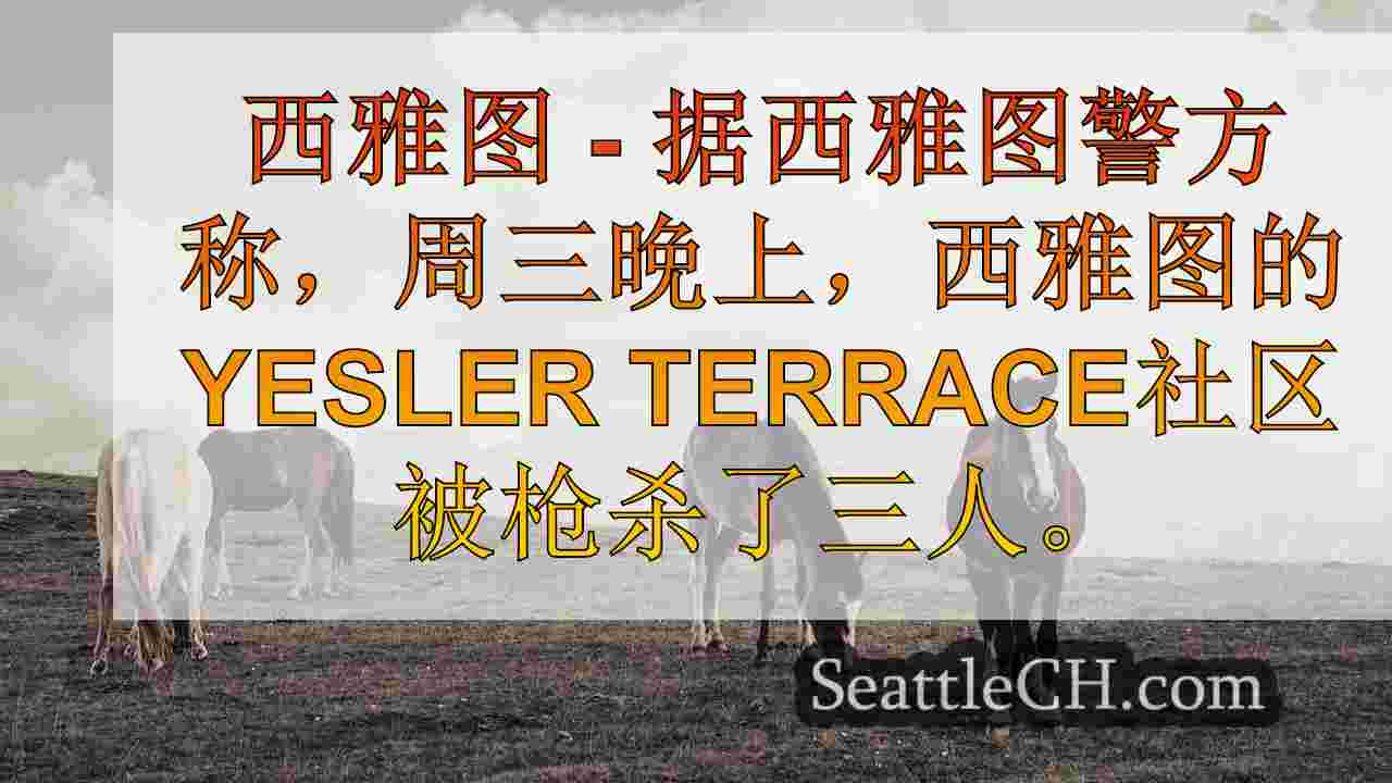 西雅图新闻 SeattleCH