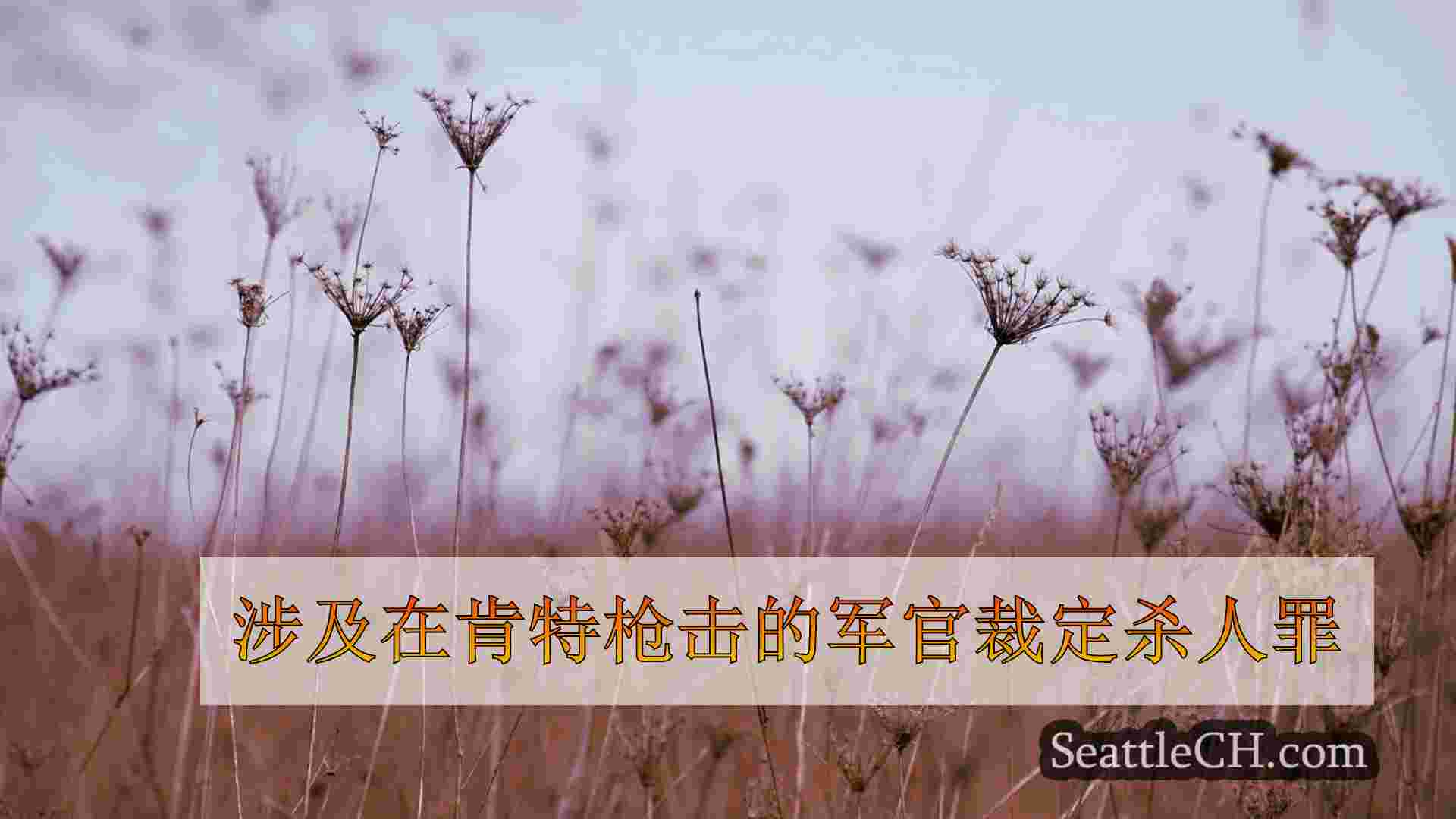 西雅图新闻 SeattleCH