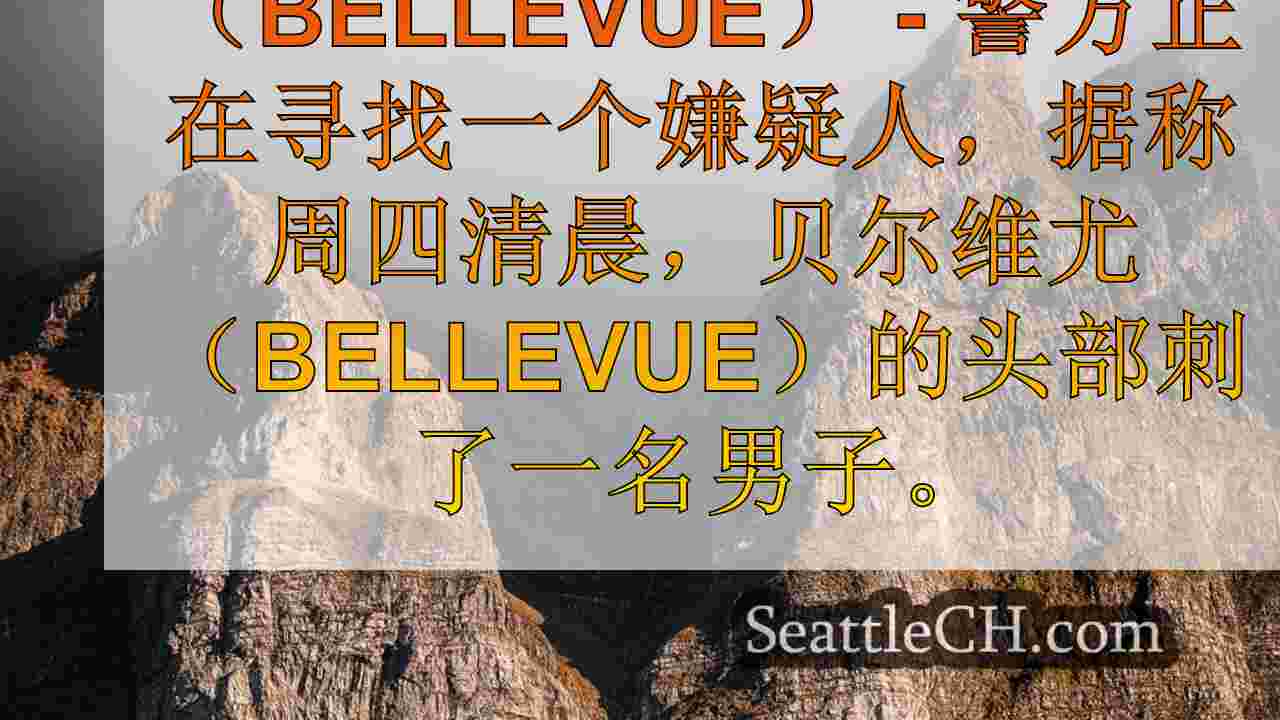 西雅图新闻 SeattleCH