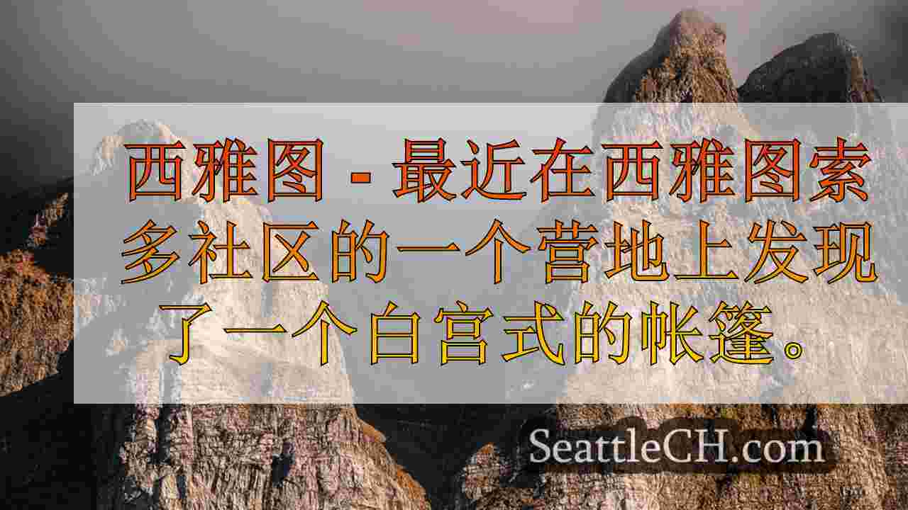 西雅图新闻 SeattleCH