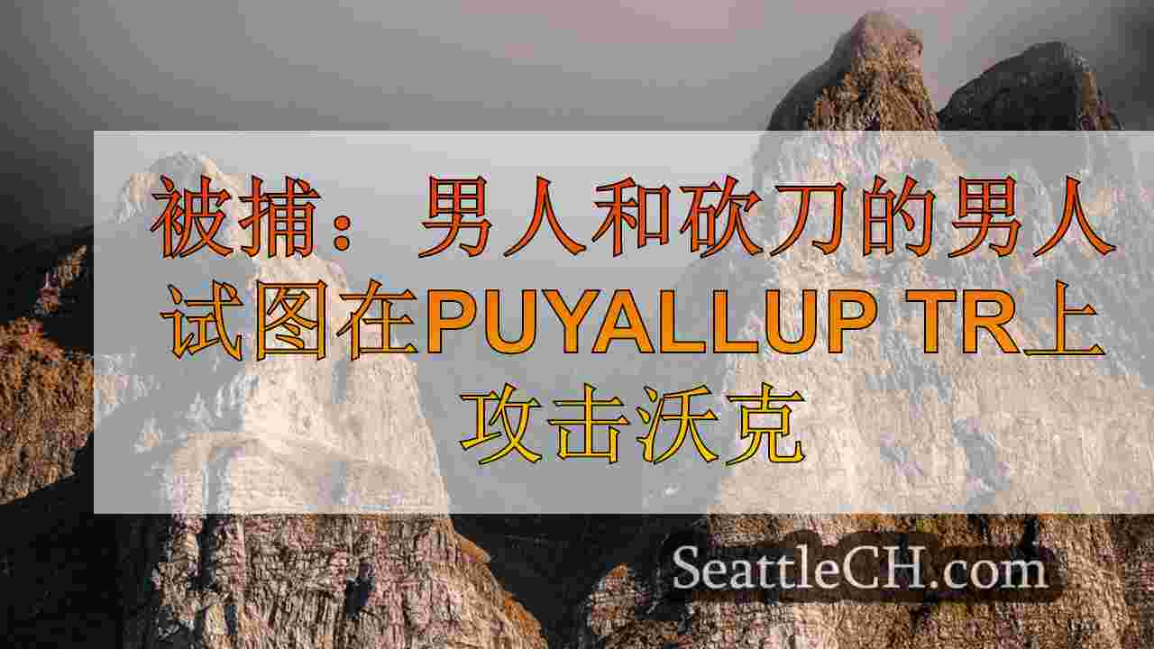 西雅图新闻 SeattleCH