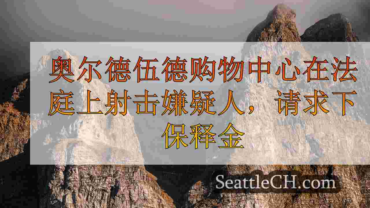 奥尔德伍德购物中心在法庭上射击嫌疑人，请求下保释金