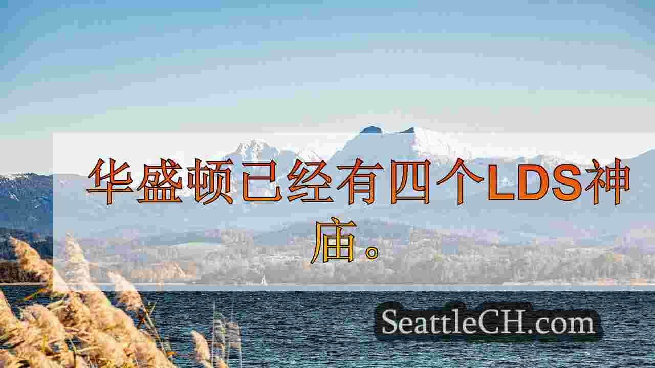 西雅图新闻 SeattleCH