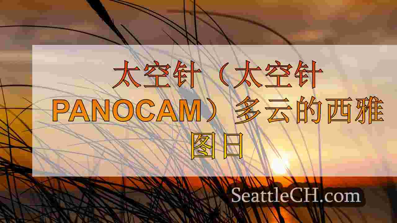 西雅图新闻 SeattleCH