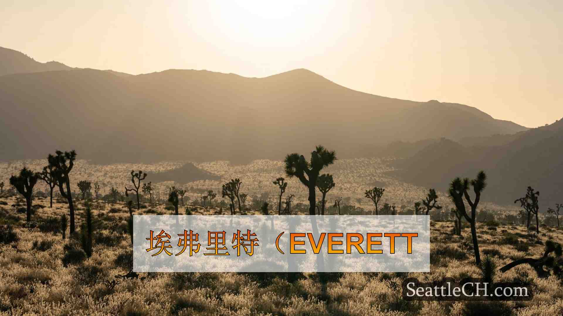 西雅图新闻 SeattleCH