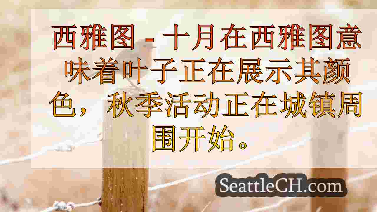 西雅图新闻 SeattleCH