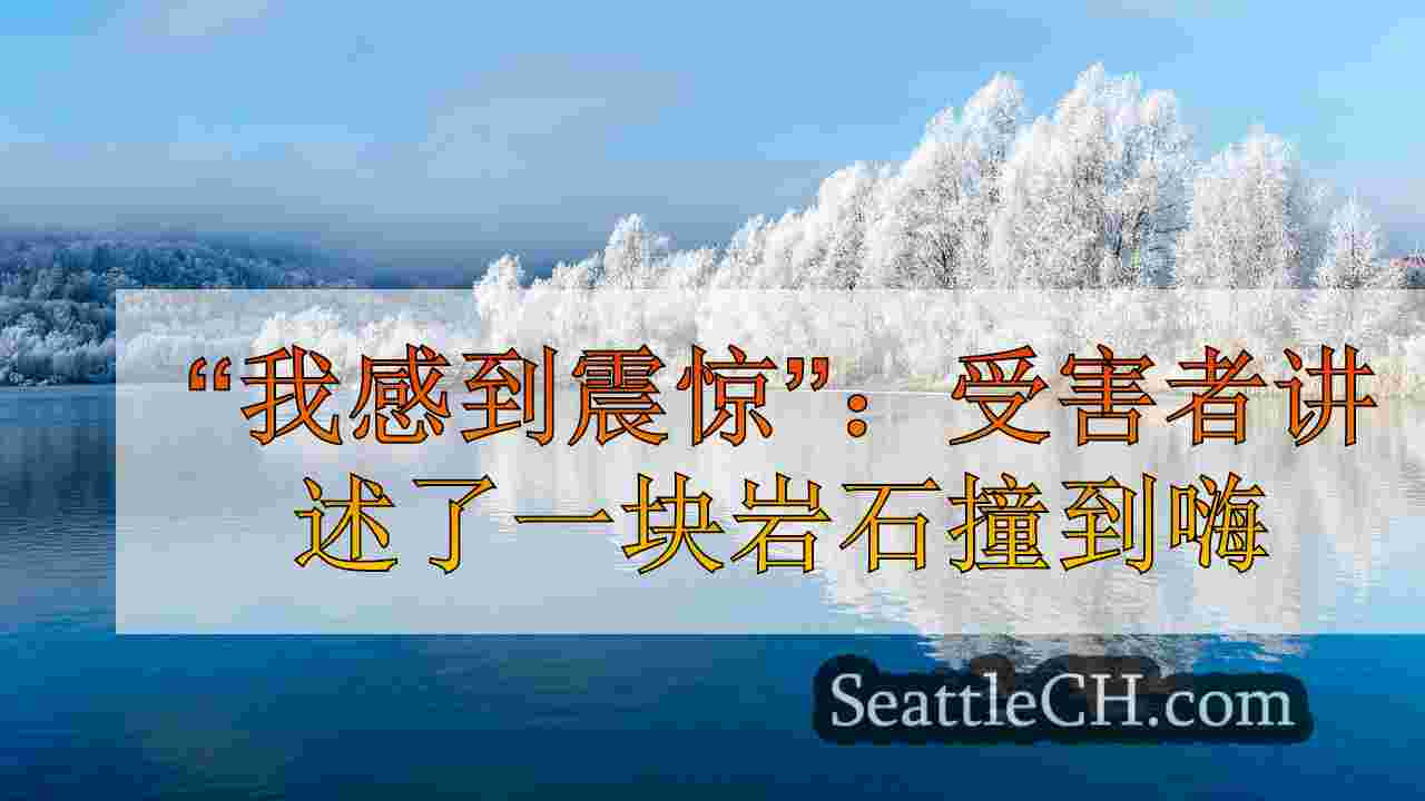 西雅图新闻 SeattleCH