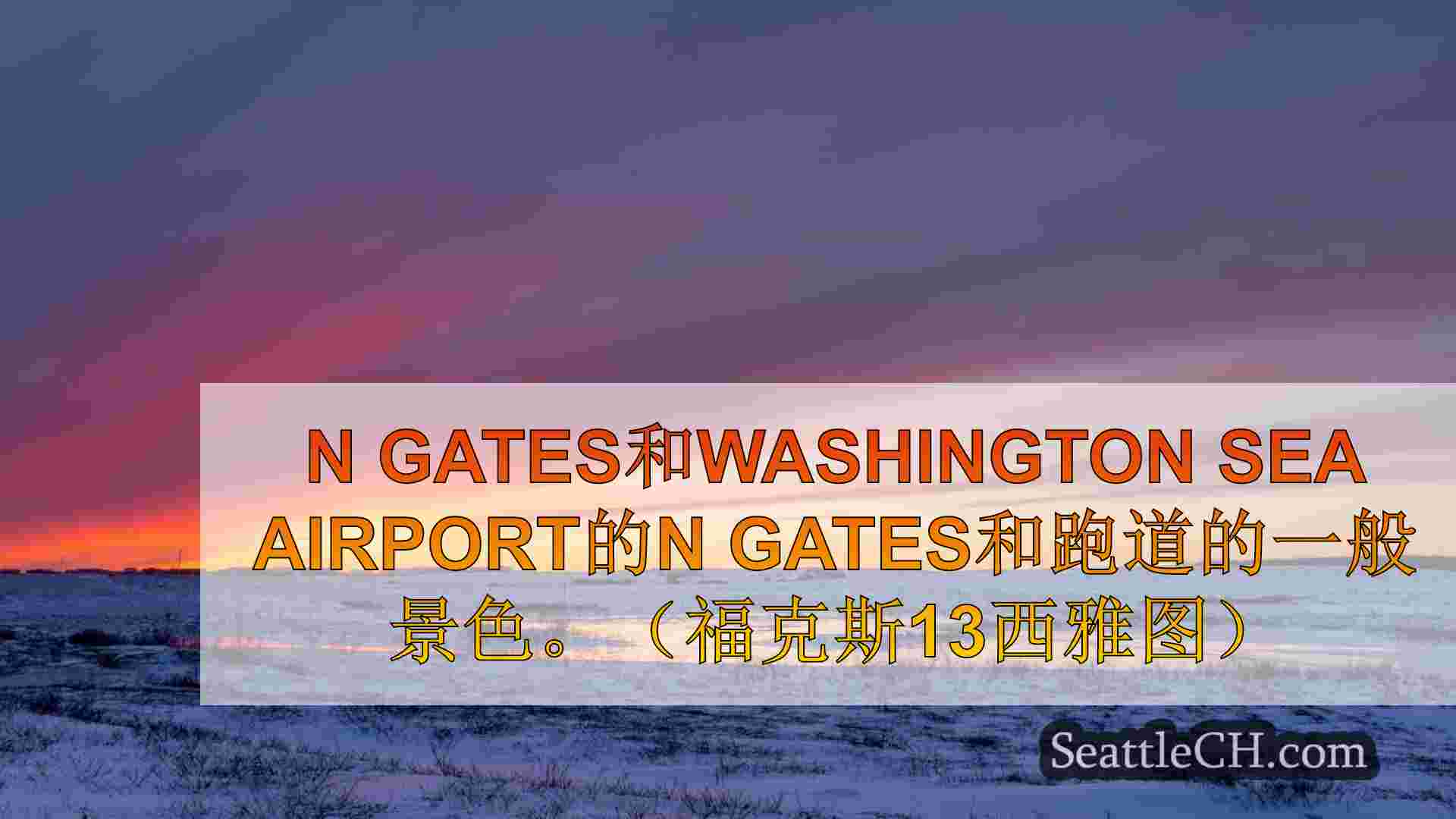 西雅图新闻 SeattleCH