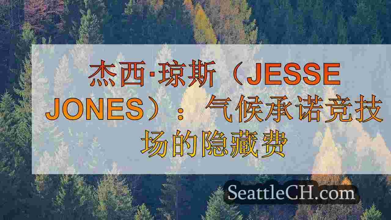 西雅图新闻 SeattleCH