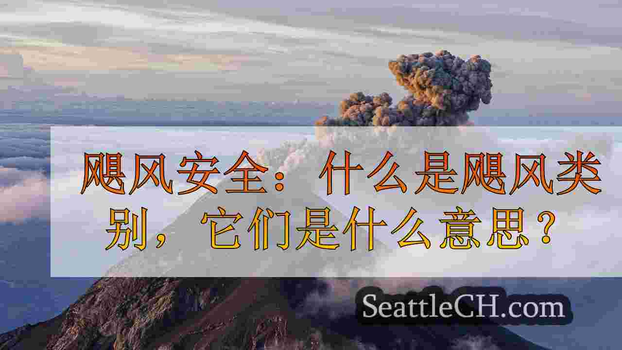 西雅图新闻 SeattleCH
