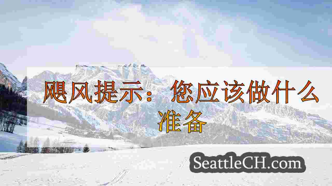 西雅图新闻 SeattleCH