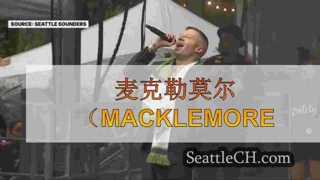 Macklemore解决了有关美国在福利音乐会上的贬义评论