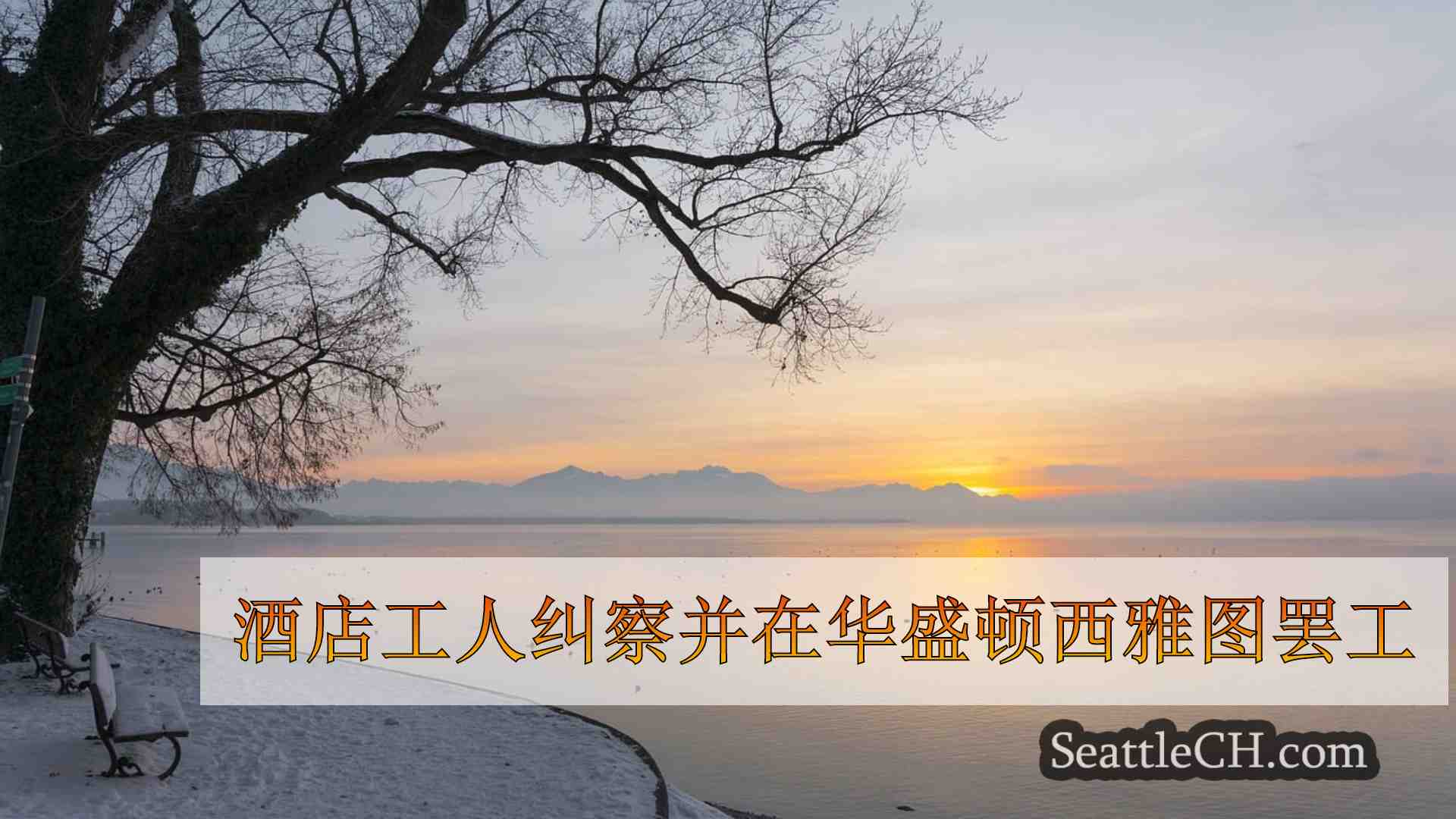 西雅图新闻 SeattleCH