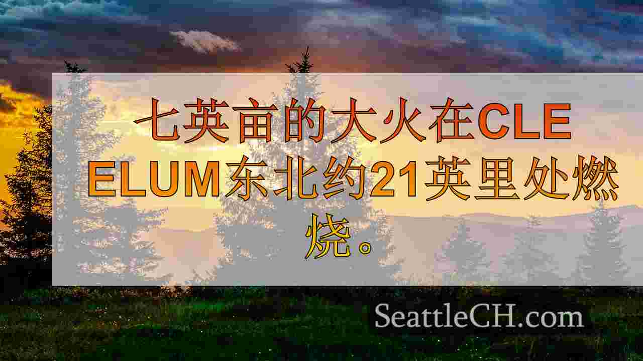 西雅图新闻 SeattleCH