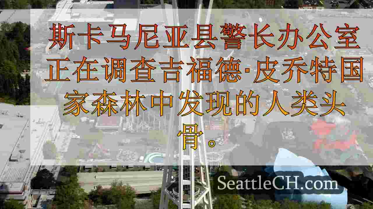 西雅图新闻 SeattleCH