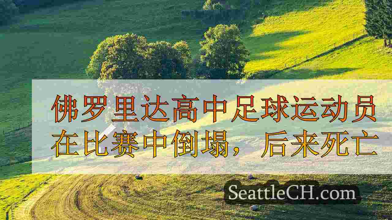 西雅图新闻 SeattleCH