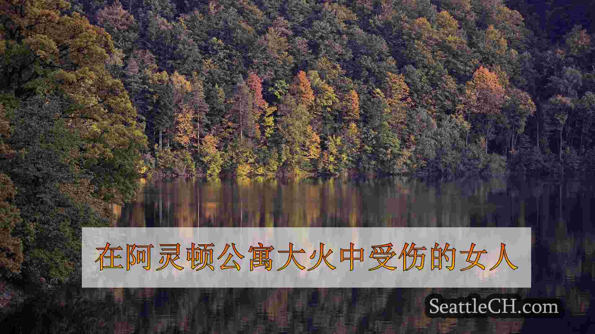 西雅图新闻 SeattleCH